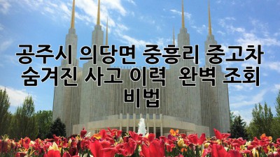 🚗 공주시 의당면 중흥리 중고차, 숨겨진 사고 이력? 🤔 완벽 조회 비법!
