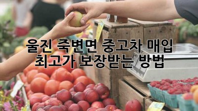 울진 죽변면 중고차 매입, 최고가 보장받는 방법!