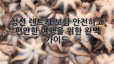정선 렌트카 보험: 안전하고 편안한 여행을 위한 완벽 가이드